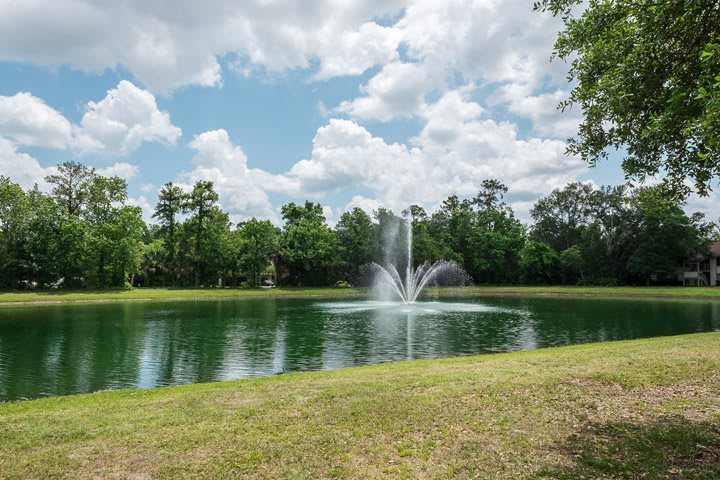 A serene pond with a fountain surrounded by lush greenery under a partly cloudy sky.