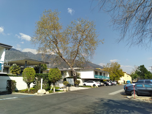 A serene view of a residential area with a prominent tree and mountains in the background.