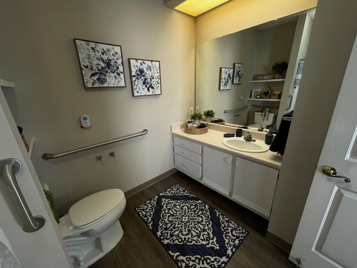 A modern bathroom with decorative artwork, a large mirror, and stylish rug.