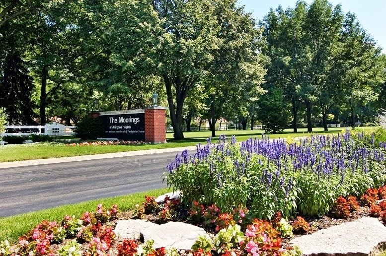 A beautifully maintained garden with colorful flowers and a sign, surrounded by lush trees.