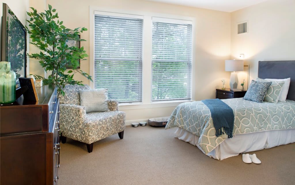 A cozy bedroom with a patterned chair, a comfortable bed, large windows with blinds, and a potted plant.