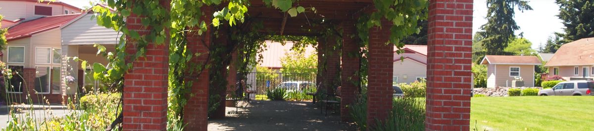 A shaded pergola draped in lush greenery with seating beneath.