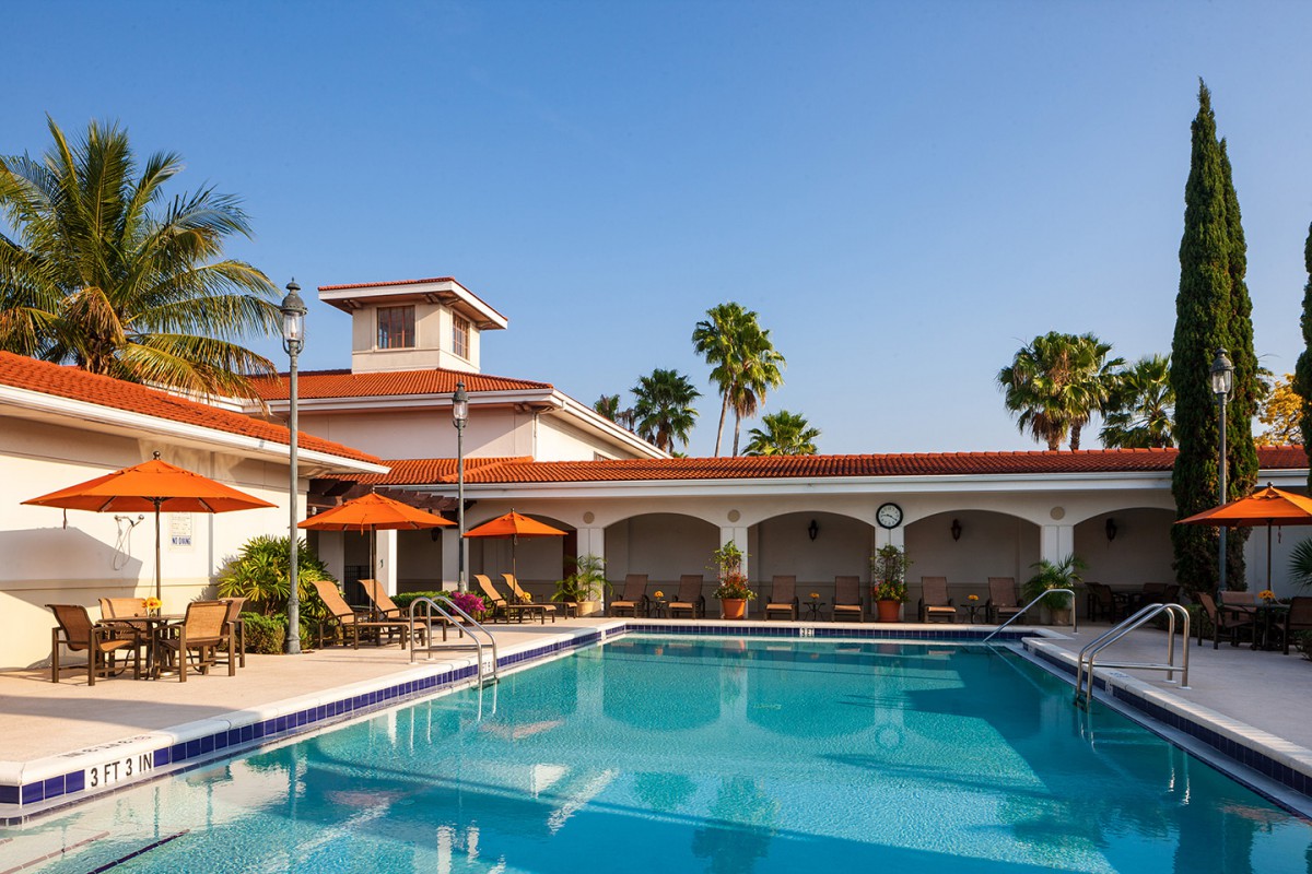 A serene hotel pool area with lounge chairs and palm trees under a clear blue sky.