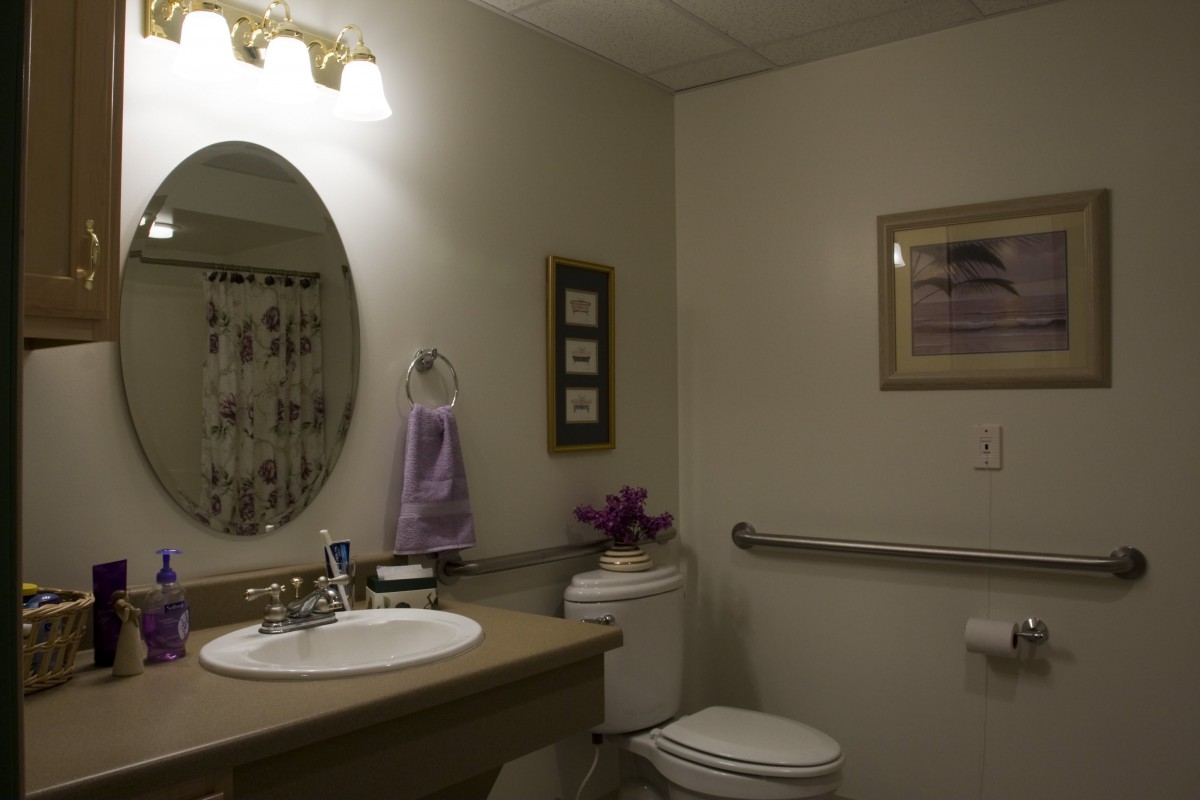 A well-lit bathroom featuring a sink, mirror, toilet, and decorative elements.