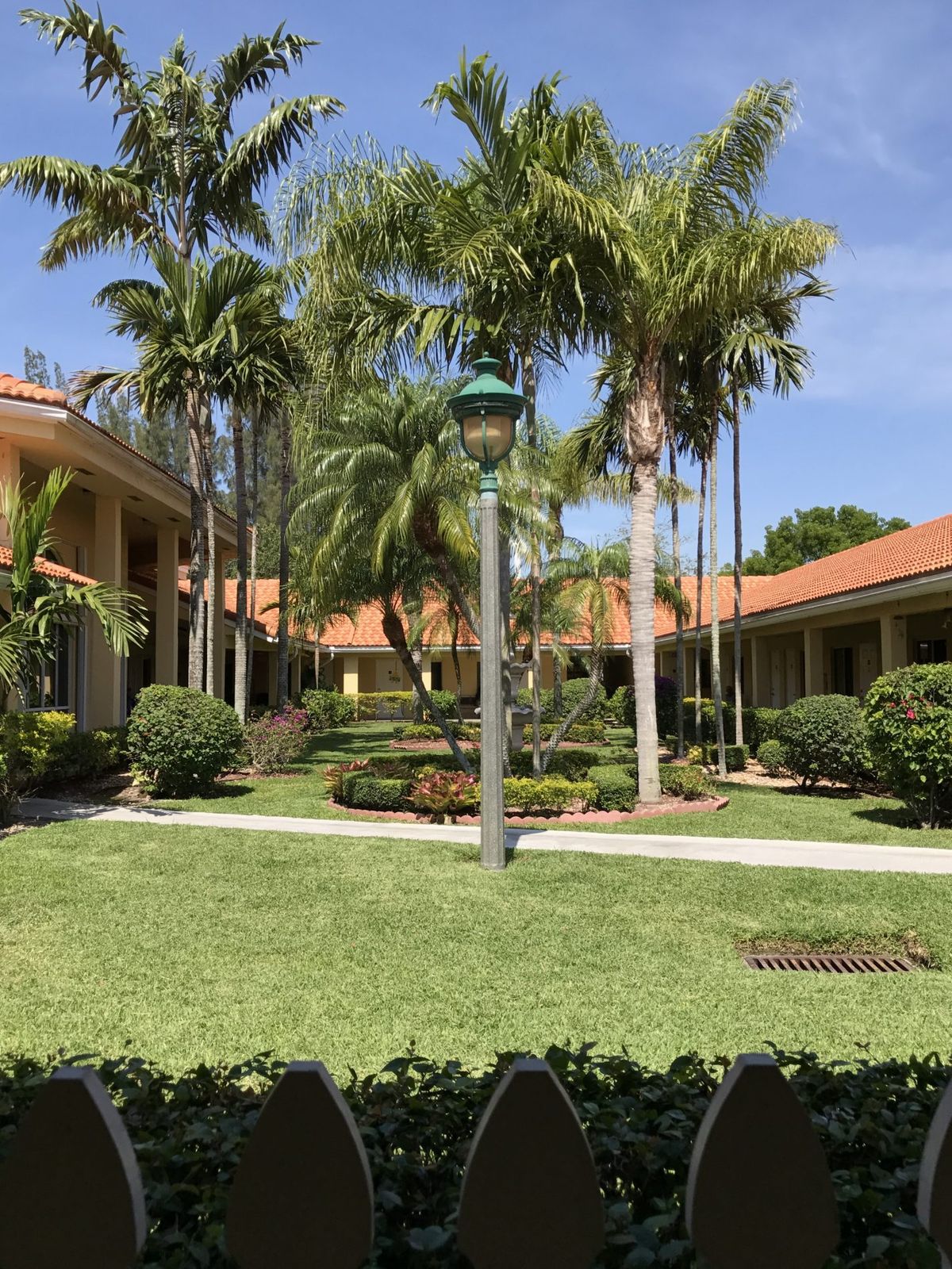 A sunny courtyard with palm trees and a well-maintained garden.