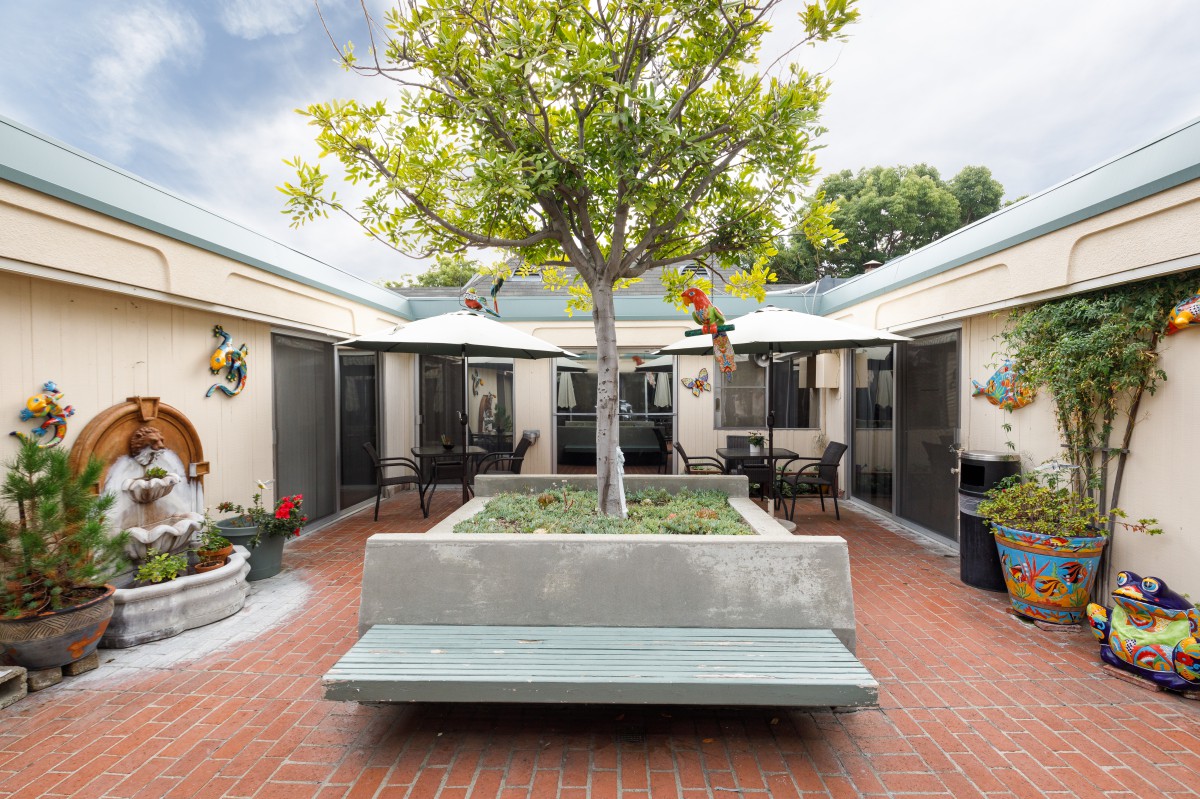 A serene courtyard featuring a central tree surrounded by seating and potted plants.