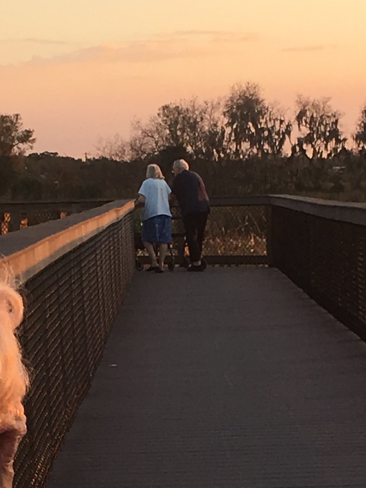 Two elderly individuals walk together on a bridge during sunset, surrounded by nature.