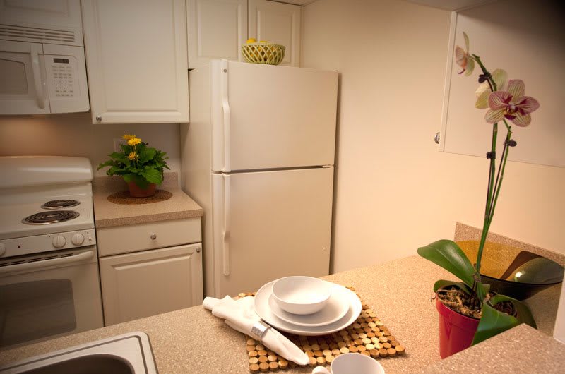 A cozy kitchen with a white refrigerator and neatly arranged dishes on the countertop.