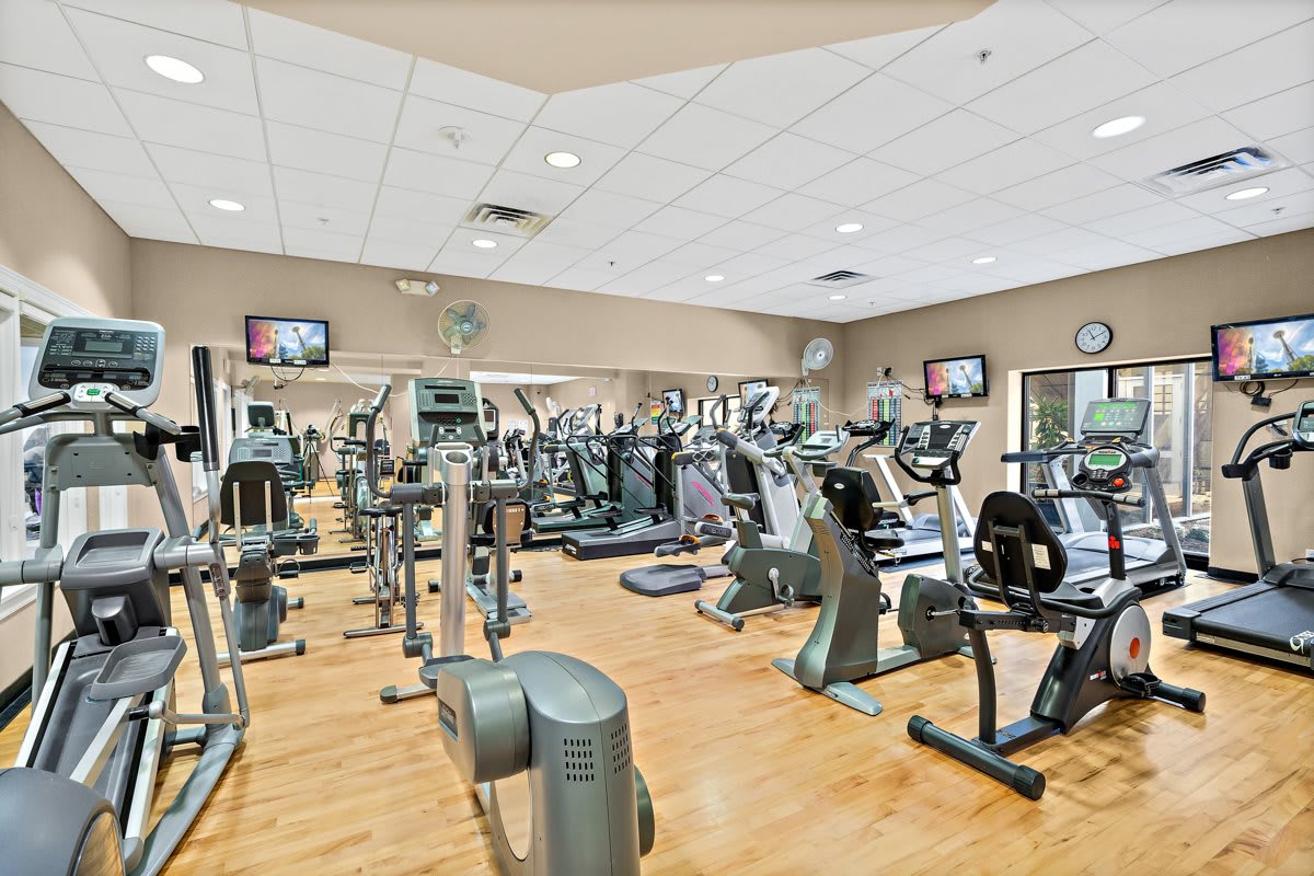 A spacious gym featuring a variety of cardio and fitness equipment.
