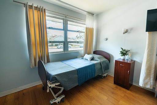 A bright and spacious hospital room featuring a single bed, large windows, and a small plant on the nightstand.