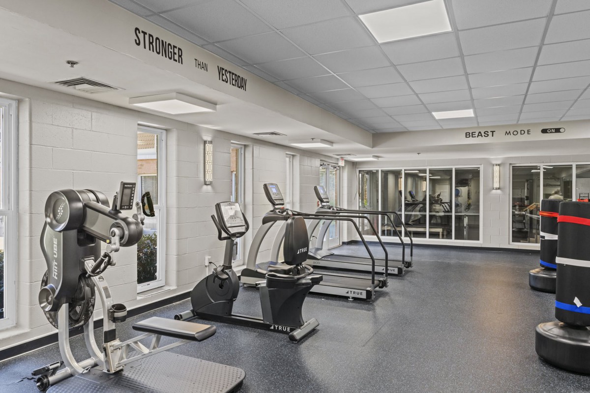 An empty gym with exercise equipment including treadmills and other machines.