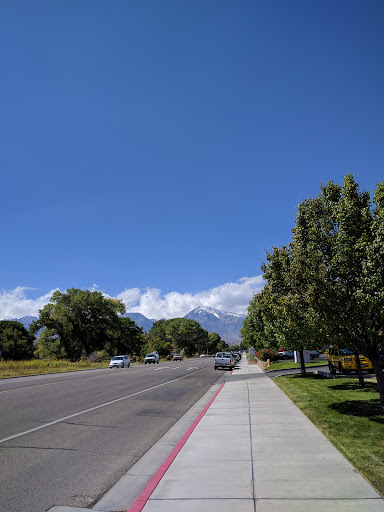 A serene street lined with trees, leading towards the mountains under a clear blue sky.