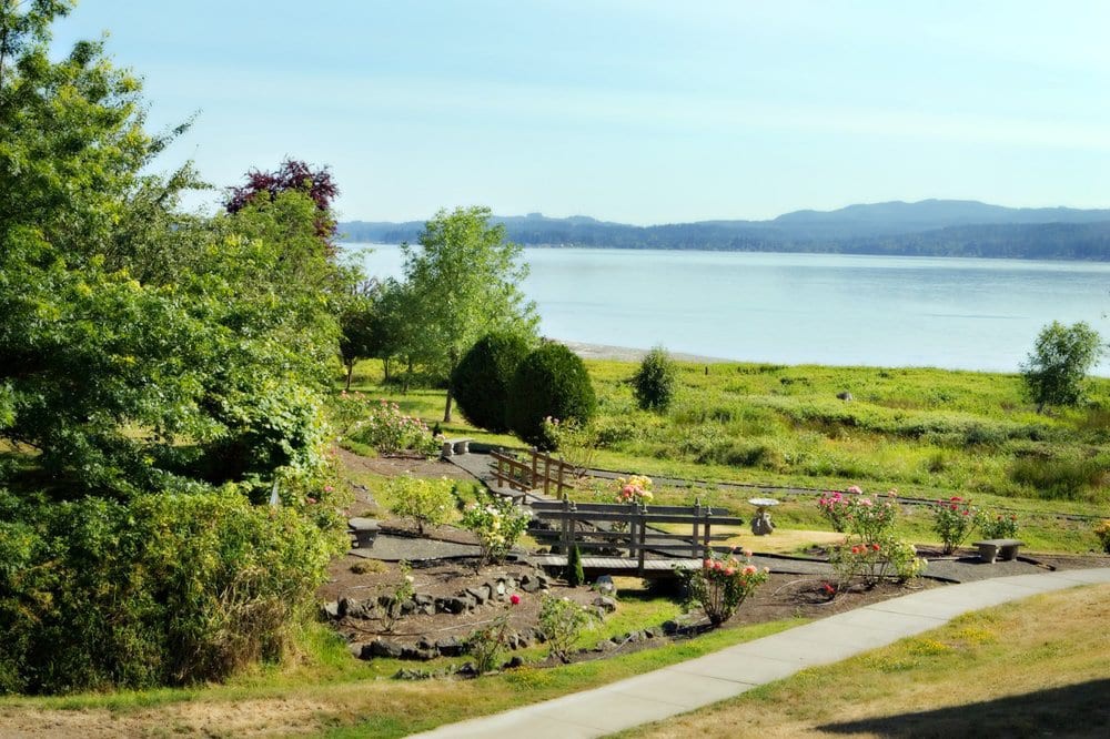 A serene garden overlooking a tranquil lake with lush greenery and clear skies.