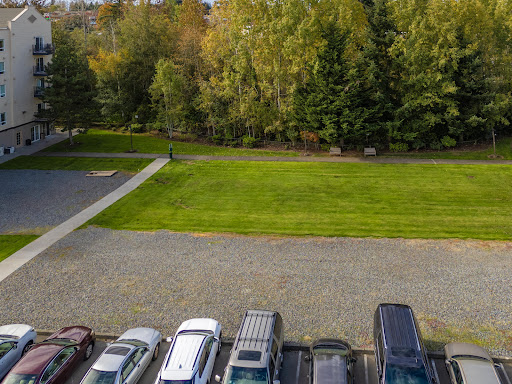 A view of a parking lot adjacent to a grassy area with trees in the background.