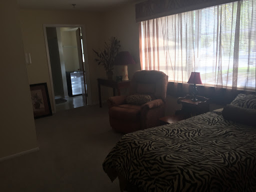 A cozy living area featuring a comfortable chair, natural light streaming in from the window, and decorative elements.