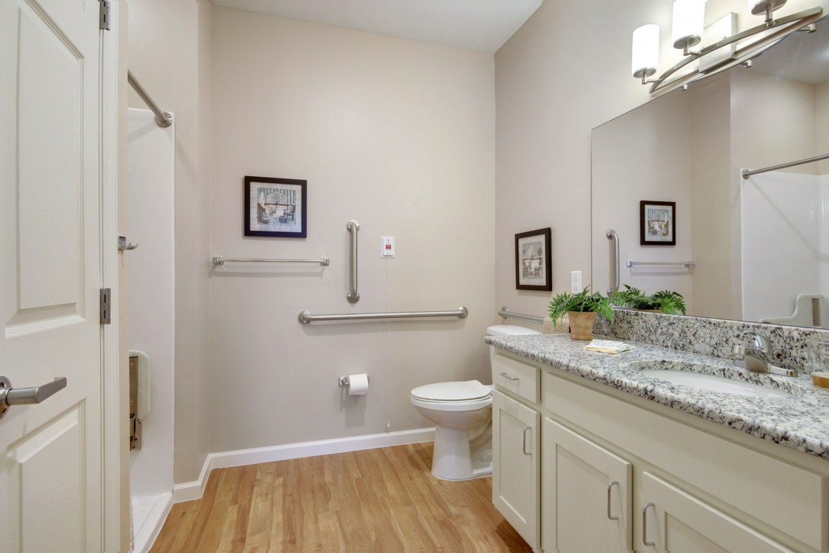 A modern and accessible bathroom with light-colored walls, wooden flooring, handrails, a large mirror, and decorative elements.