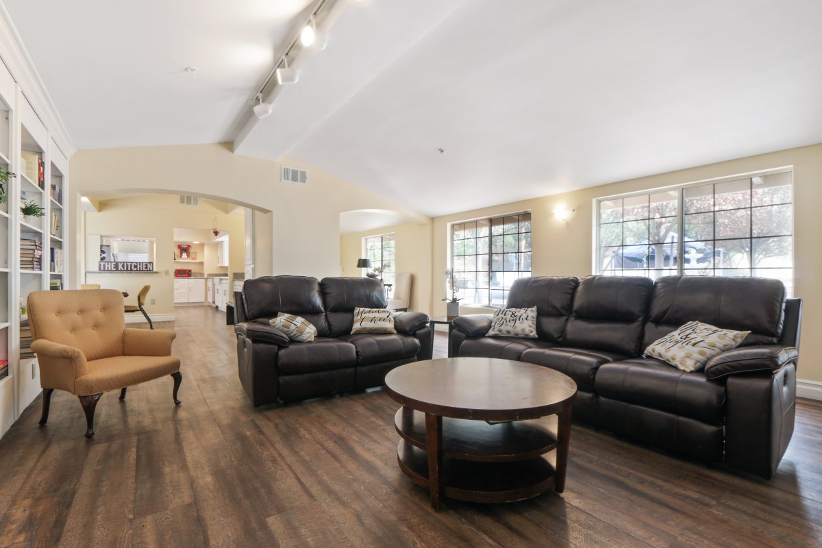 A spacious and modern living room featuring comfortable leather sofas, a round coffee table, and large windows that allow natural light to fill the space.