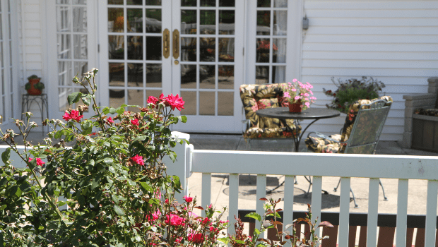 A sunny patio with a table and chairs, surrounded by blooming roses.