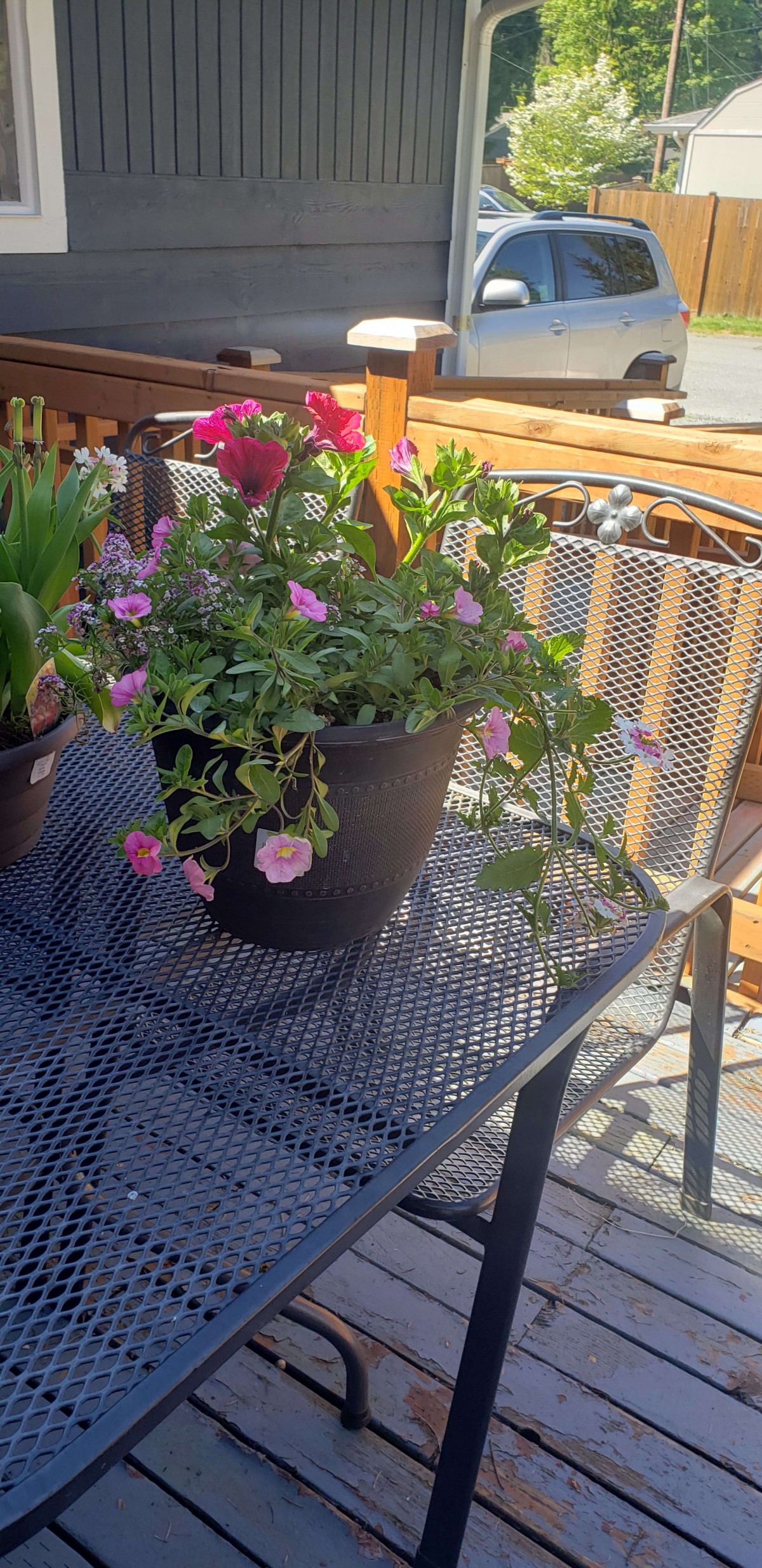 Potted flowers on a metal patio table basking in the sun.