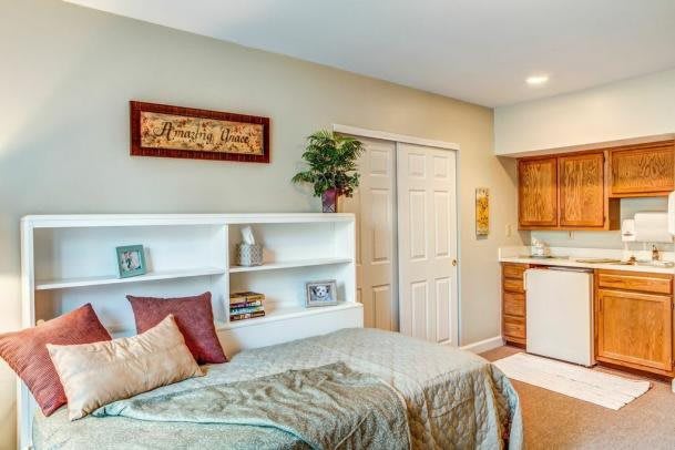 A cozy bedroom with modern furnishings, featuring a bed, shelving unit, and a decorative plant.