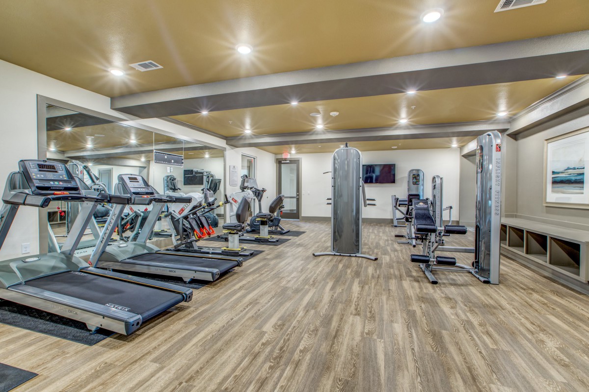 A modern gym equipped with treadmills and various exercise machines.