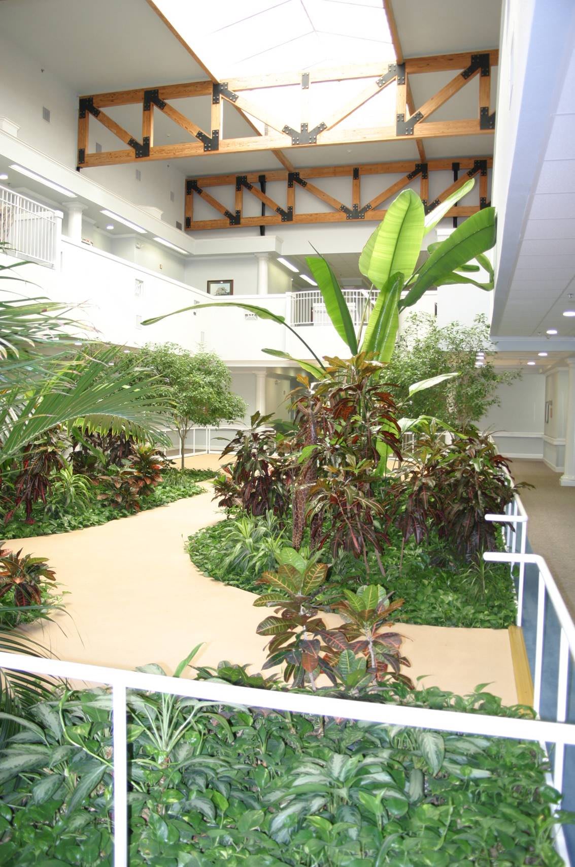 A serene indoor garden with tropical plants and a winding pathway.