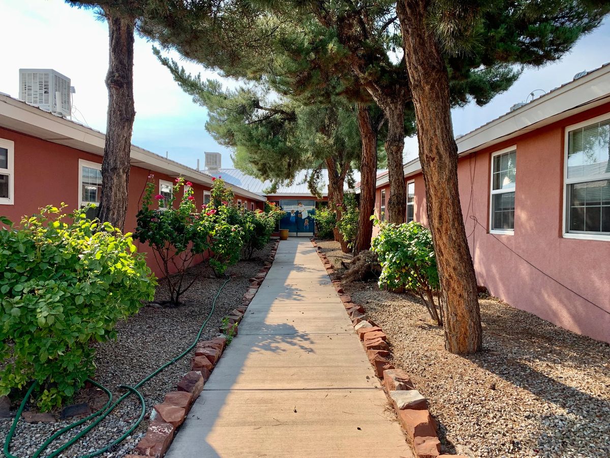 A scenic pathway flanked by trees and buildings on a sunny day.