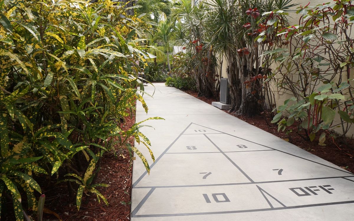 A shuffleboard court lined with tropical plants offers a peaceful outdoor setting for gameplay.