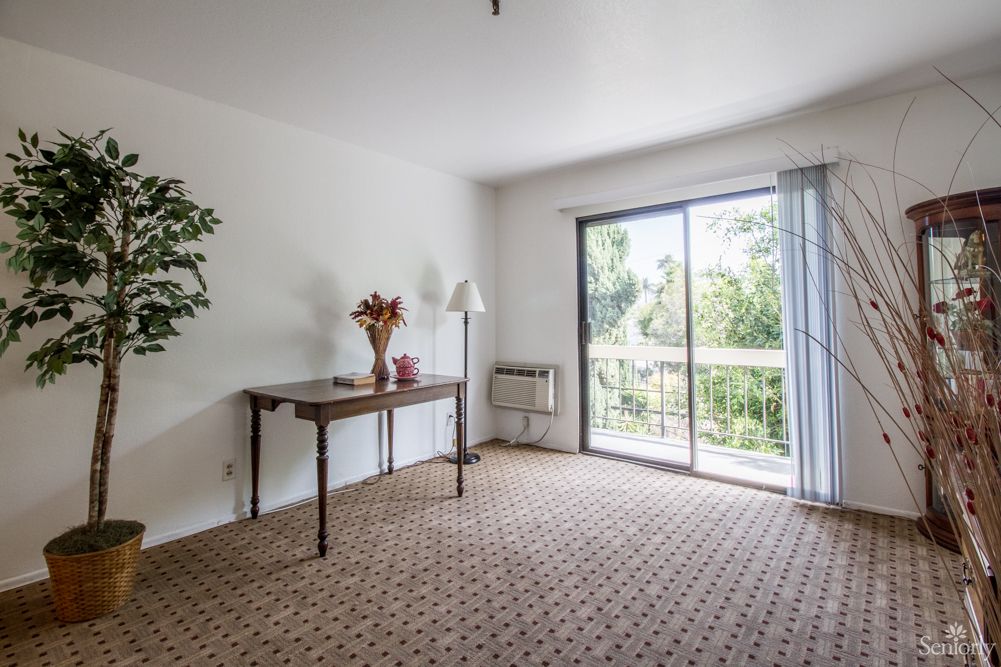 A bright, empty room with a table and potted plant near a large sliding window.