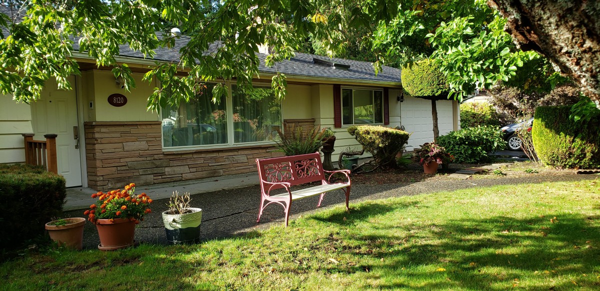 A cozy house with a red bench in the sunlit yard, surrounded by trees and greenery.