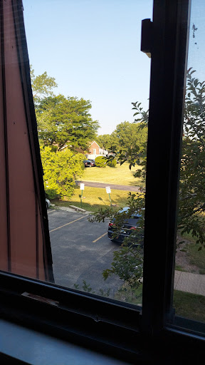 A view from a window showcasing a sunny outdoor landscape with trees and parked cars.