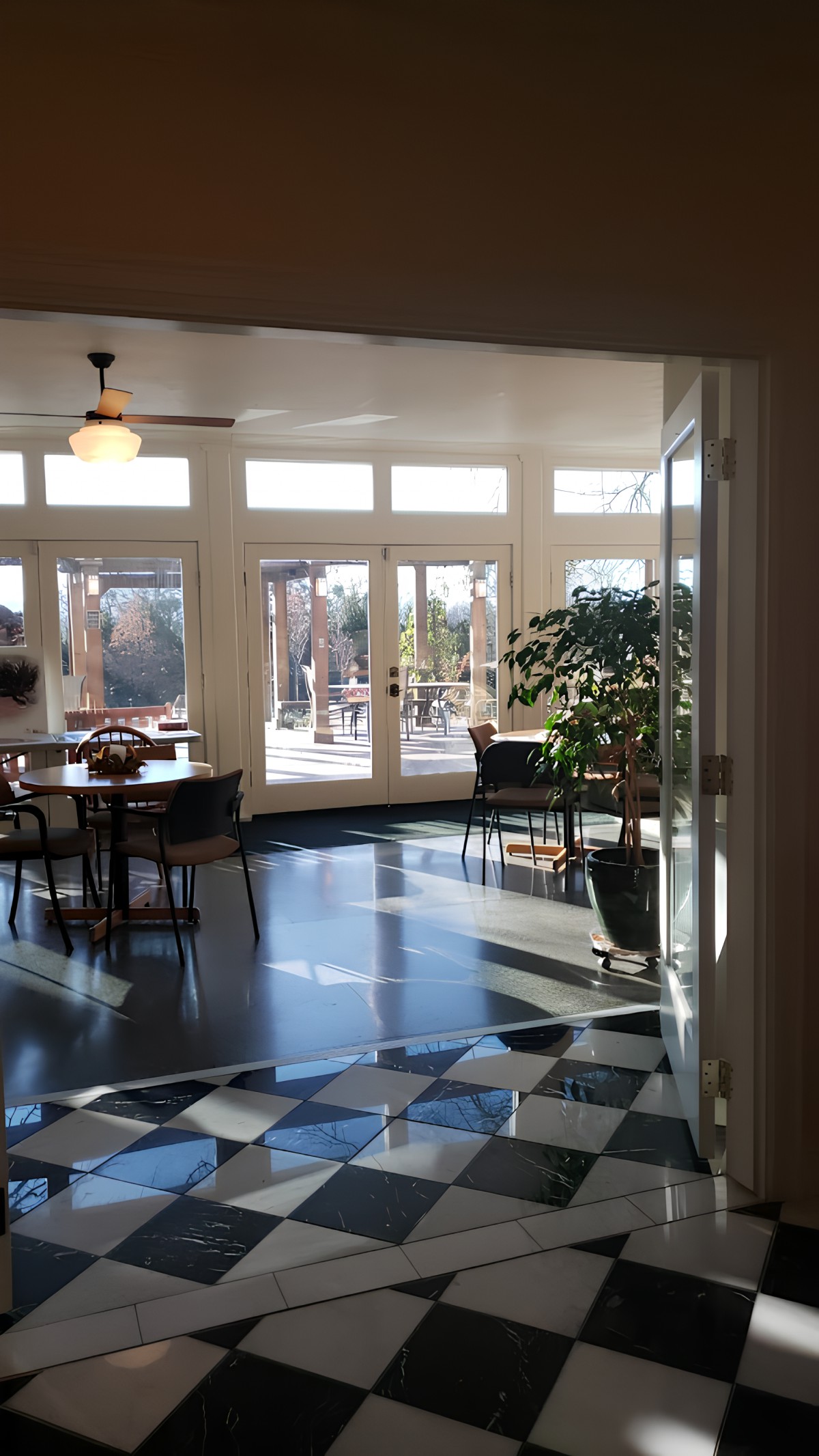 A well-lit dining area with large windows, tables, chairs, and a potted plant.