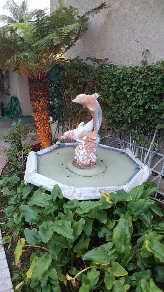 A garden fountain featuring a dolphin sculpture surrounded by lush greenery.