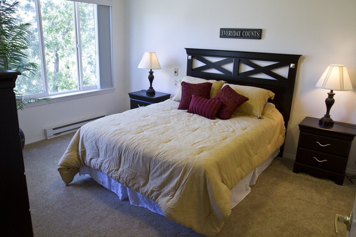 A cozy bedroom with a neatly made bed, decorative pillows, and a bedside lamp.