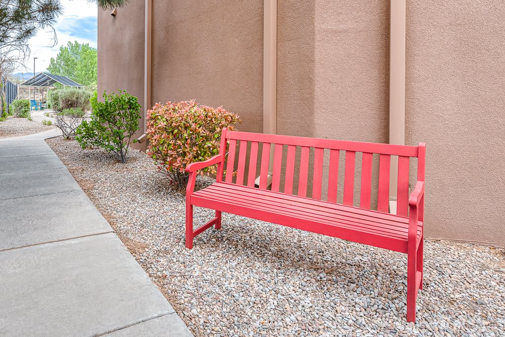 A vibrant red bench sits beside a sidewalk surrounded by small bushes.