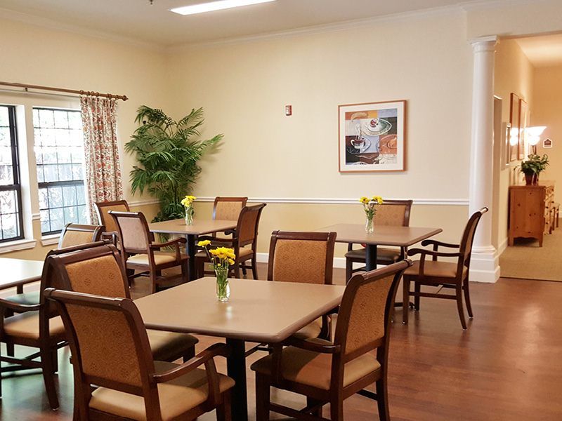 A neatly arranged dining room with multiple tables and chairs, adorned with small plants and wall art.