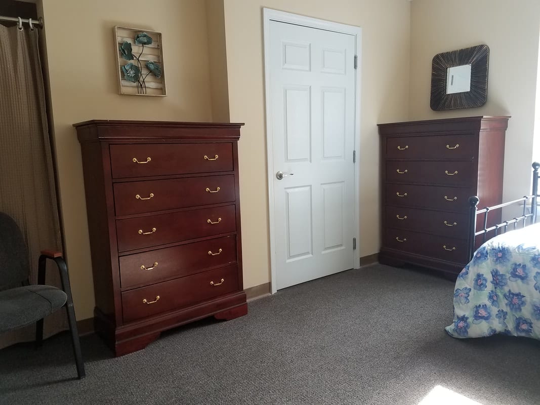 A bedroom interior featuring two wooden dressers, a door, and a mirror on a carpeted floor.