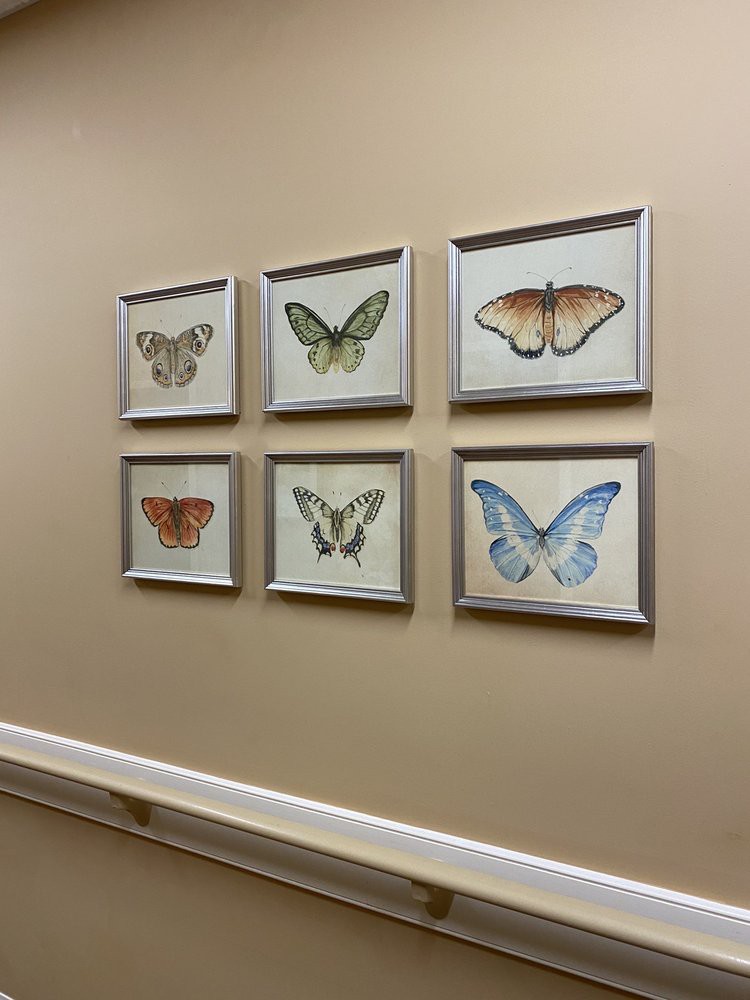 Framed butterfly illustrations adorn a beige wall, showcasing various species in a neat arrangement.