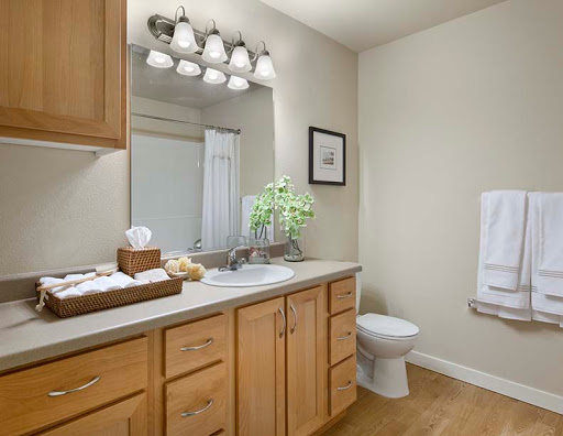A modern bathroom featuring a stylish vanity with wooden cabinets, contemporary lighting, and clean decor.