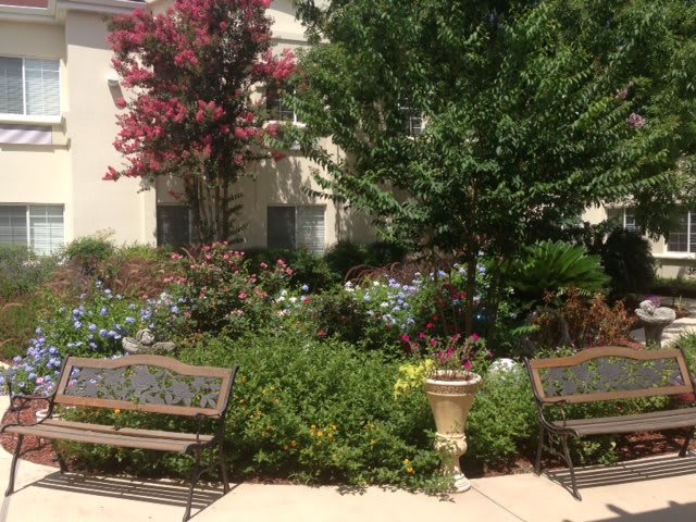 A lush garden area with benches, surrounded by various plants, trees, and colorful flowers.