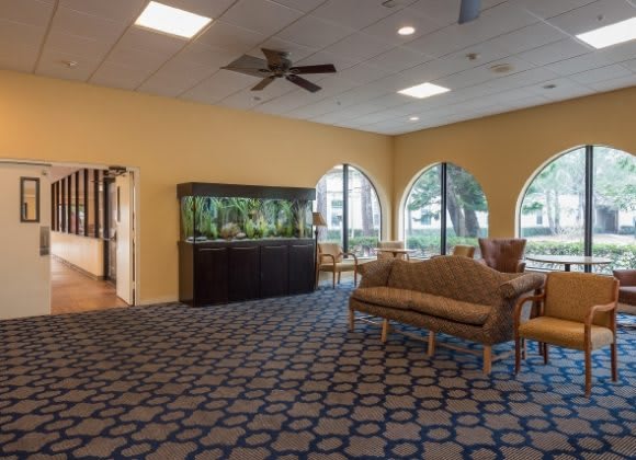 Cherry Oak Palm Beach County