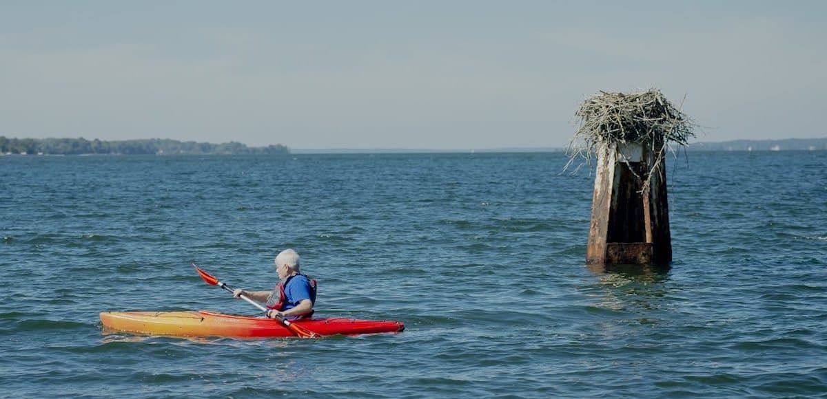 A person kayaking on the water near a wooden post with a bird's nest.