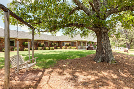A serene outdoor space featuring a large tree providing shade over a grassy lawn and adjacent building.