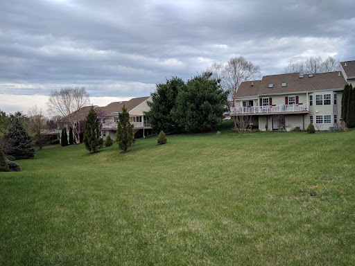 A tranquil suburban landscape featuring well-kept houses surrounded by lush green grass and cloudy skies.