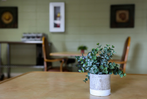 A cozy cafe setting with a decorative plant on a wooden table.