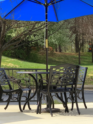 A cozy outdoor seating area with a table and chairs shaded by a blue umbrella, surrounded by lush greenery.