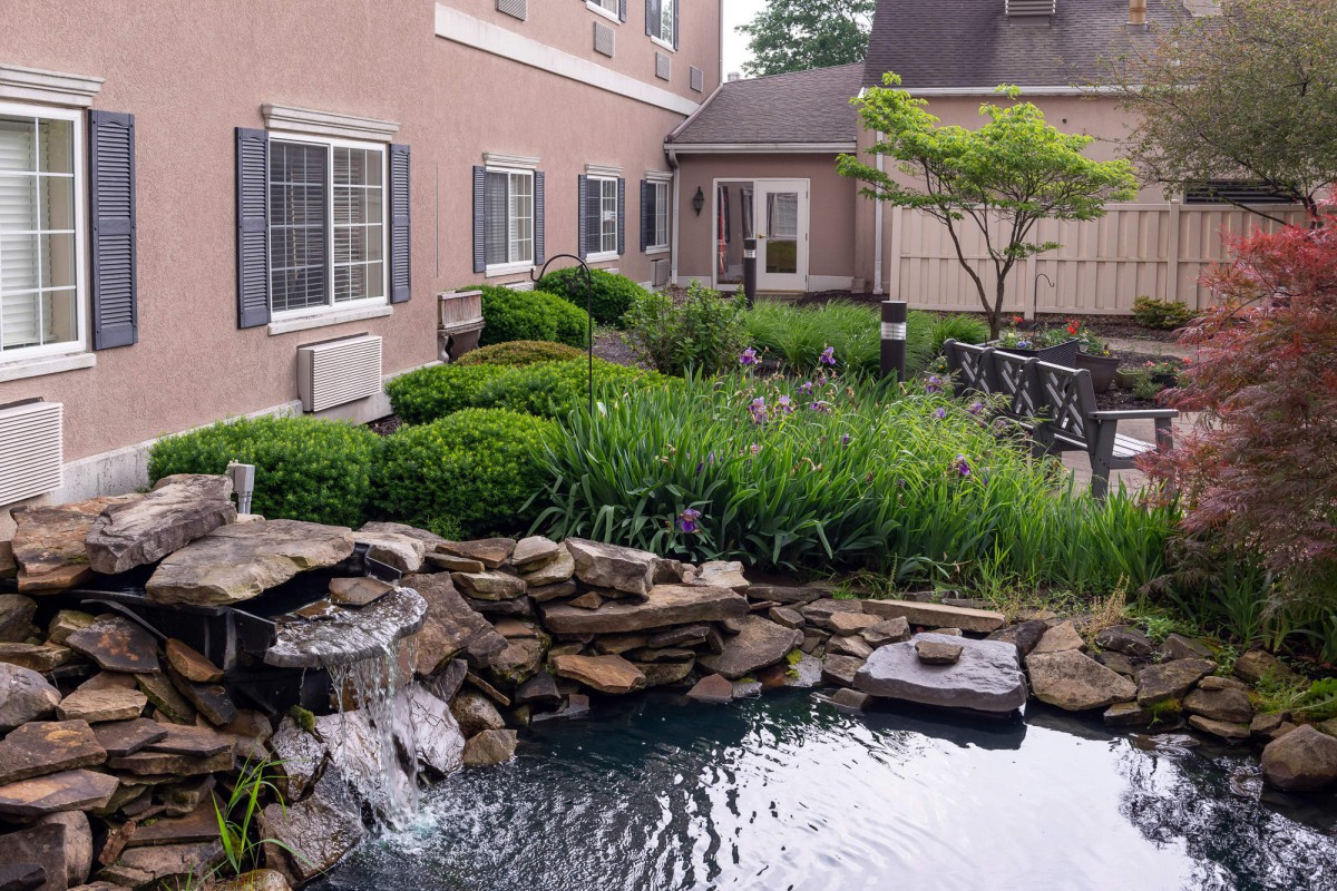 A serene courtyard with a pond and waterfall, surrounded by lush greenery and bordered by a building exterior.