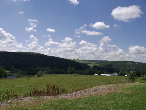 Meadow View Healthcare And Rehabilitation Center