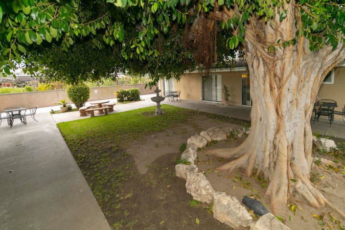 Courtyard with a large tree, bench, and grassy area beside a building.