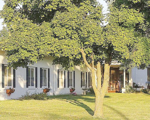 Village Villa